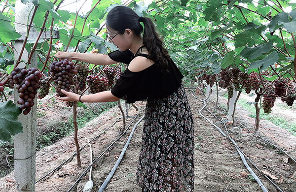 1585295303246542.jpg 4.jpg